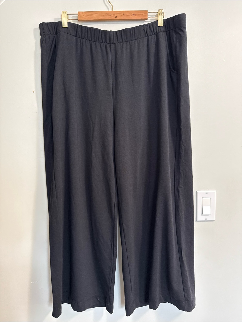 Lisa Bayne Bamboo Wide Leg Pull On Pants Elastic Waist Pockets